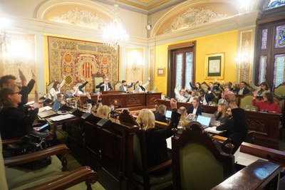 Una de les votacions del ple ordinari del mes de novembre de la Paeria..