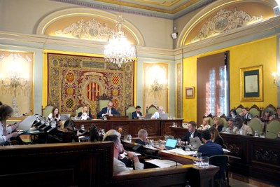 Imatge de la sessió del ple municipal d'avui.