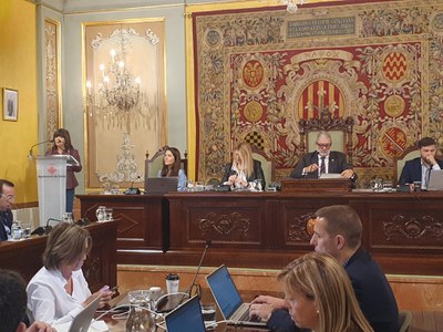 La Síndica Municipal de Greuges s'ha adreçat avui al ple per presentar el seu informe.