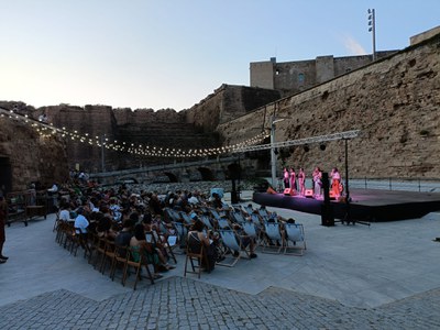 Prop de 12.300 persones van assistir a alguna de la trentena de propostes de l’Estiu en Viu, la programació cultural per als mesos d’estiu de l’Ajuntament de Lleida.