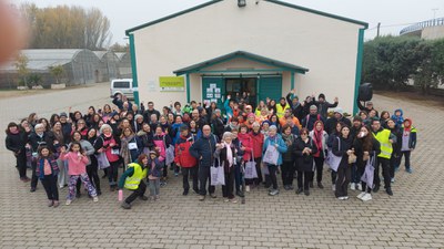 "El IMO camina por la Maratón" ha contado con una participación de 150 personas.