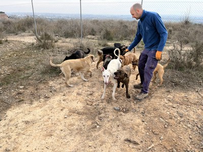 Uno de los cuidadores profesionales con perros del Refugio de los Peludos.