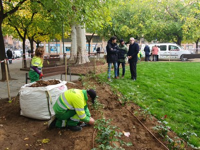 El alcalde ha supervisado hoy las tareas que se están llevando a cabo en la plaza Pau Casals.