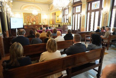 El Plenario del Consejo Municipal de la Formación Profesional y el Empleo de Lleida se ha realizado en el Salón de Sesiones de la Paeria.