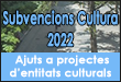 Subvencions Cultura: Ajuts a projectes d'entitats culturals sense ànim de lucre